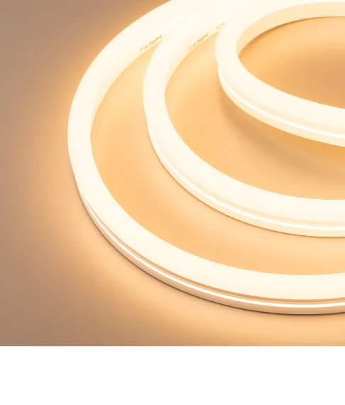 Фото #1 товара MOONLIGHT 12x24 230V