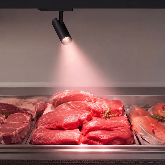 Фото #2 товара Светильник LGD-GERA-4TR-R74-20W Warm SP2900-Meat (Белый, 24 deg, 230V) (Arlight, IP20 Металл, 5 лет)
