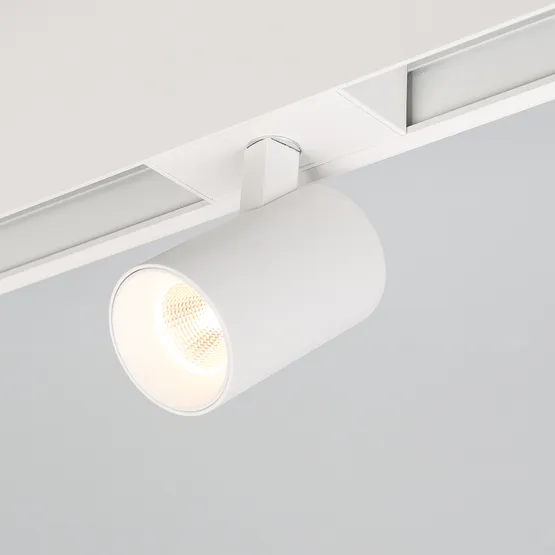 Фото #2 товара Светильник MAG-SPOT-45-R85-7W Day4000 (WH, 24 deg, 24V) (Arlight, IP20 Металл, 5 лет)