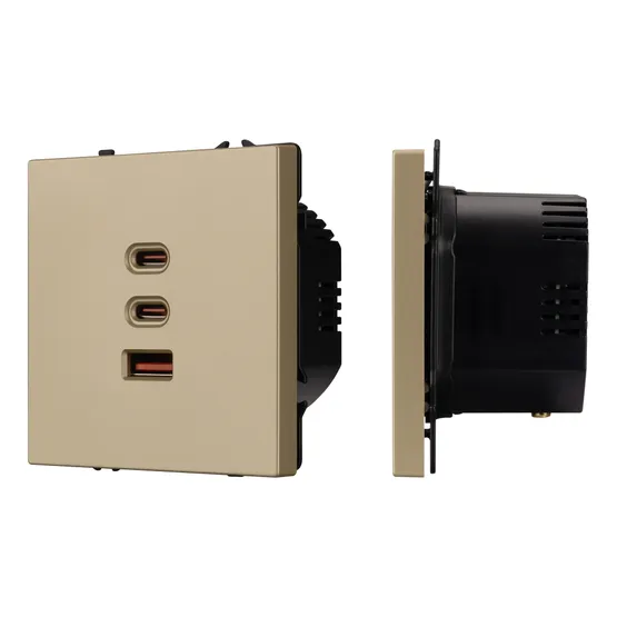Фото #1 товара Механизм розетки с быстрой USB зарядкой SCT-NOBE-MUACC-SFPL-FC-GD (65W, QC3) (Arlight, -)