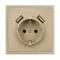 Минифото #2 товара Механизм розетки с USB зарядкой SCT-NOBE-MUAA-SFPL-GD (230V, 16A) (Arlight, Золотой песок)
