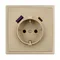 Минифото #4 товара Механизм розетки с USB зарядкой SCT-NOBE-MUAC-SFPL-GD (230V, 16A) (Arlight, Золотой песок)