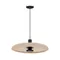 Минифото #1 товара Светильник SP-KOTARO-R450-12W Warm2700 (BG-BG, 36 deg, 230V, TRIAC) (Arlight, IP20)