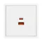Минифото #2 товара Механизм розетки с быстрой USB зарядкой SCT-NOBE-MUAC-SFPL-FC-WH (65W, QC3) (Arlight, Белый кварц)