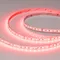 Минифото #3 товара Светодиодная лента RT-A168-10mm 24V RGBW-Warm (20 W/m, IP20, 5m) (Arlight, высок.эфф.150 лм/Вт)