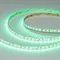 Минифото #4 товара Светодиодная лента RT-A168-10mm 24V RGBW-Warm (20 W/m, IP20, 5m) (Arlight, высок.эфф.150 лм/Вт)